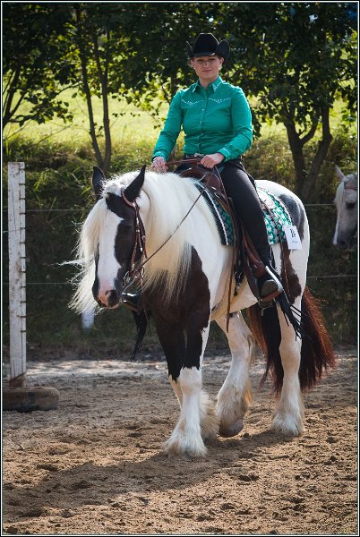 MP Stable12